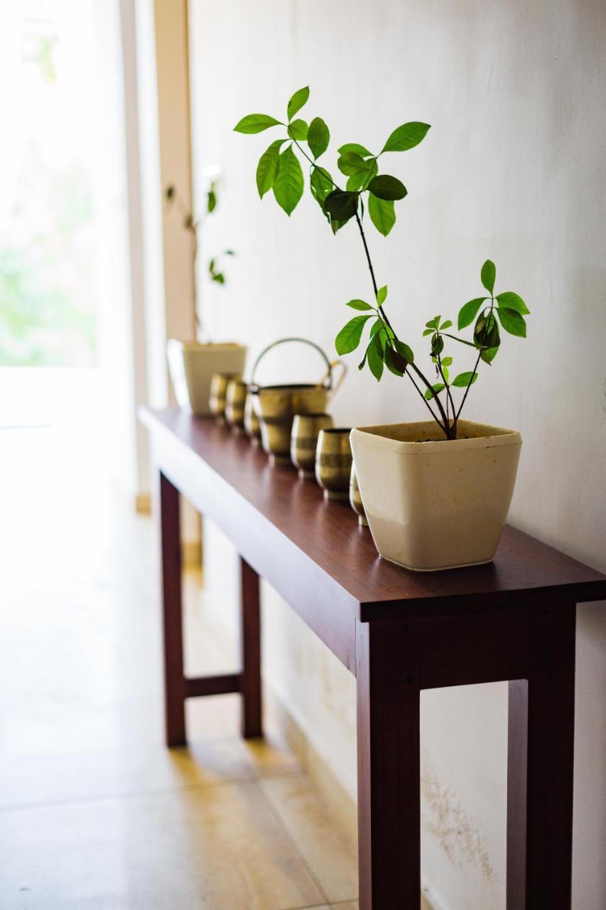 Mekosha Ayurveda Spa Suites Retreat & Resort Attingal Esterno foto