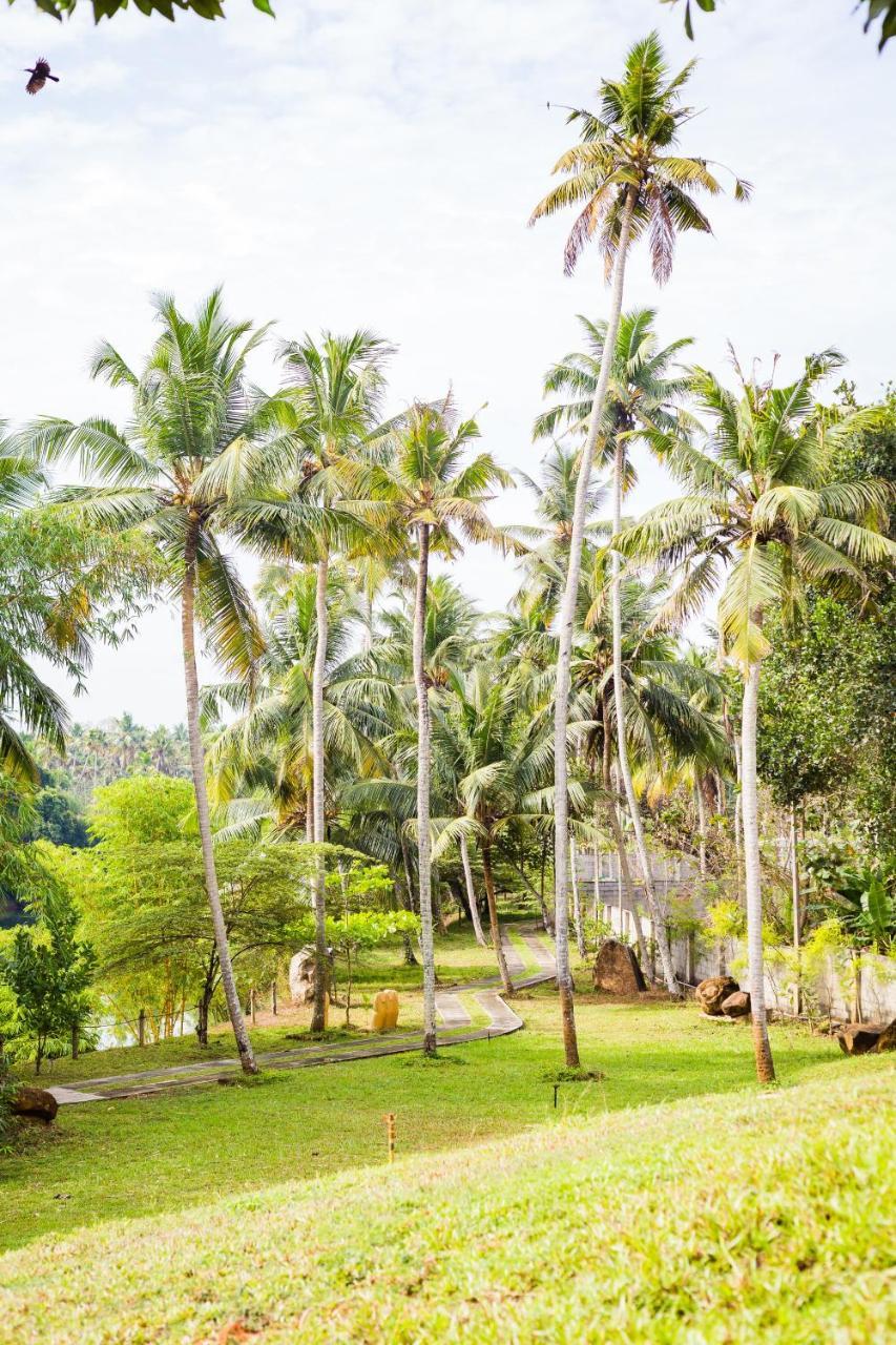 Mekosha Ayurveda Spa Suites Retreat & Resort Attingal Esterno foto